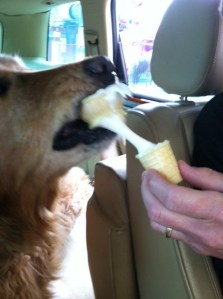 Ice Cream, Action Shot!