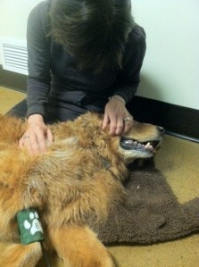 Tibetan Head Massage