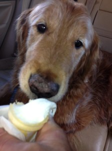 Ice Cream, still shot