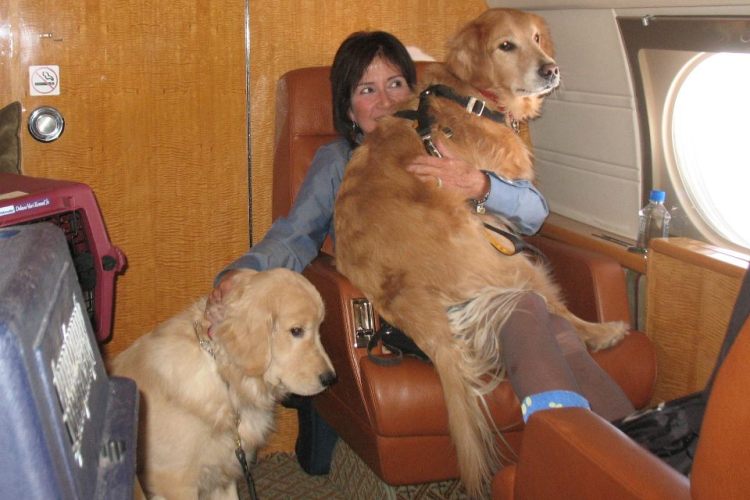 Dolce, Gabbana, Romeo Boots and Tiger (in carriers) make the most of a ride with Auntie Carol (especially Dolce, who found Auntie FIRST)