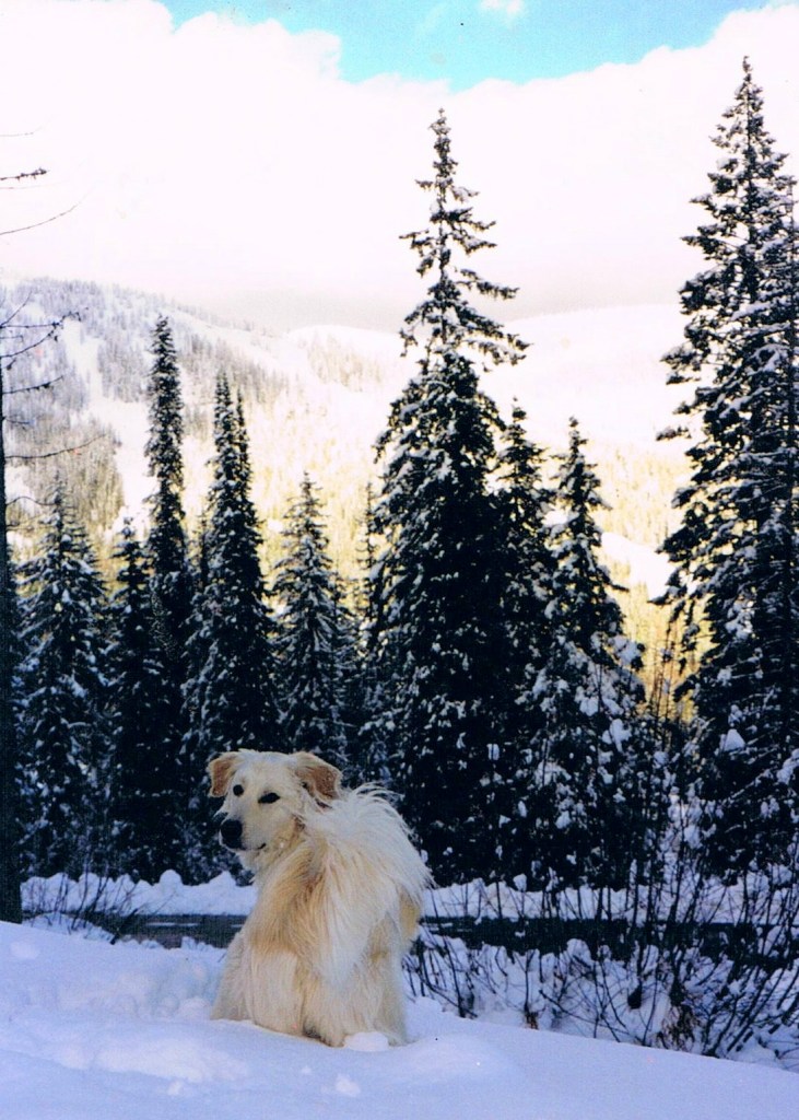 Bob, Looking Back...