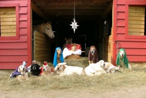 DOG-NATIVITY-SCENE-01